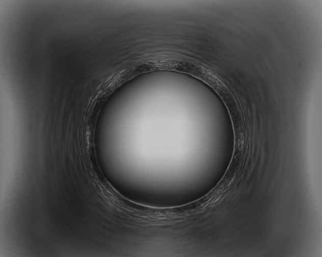 X0000086771108200704130830