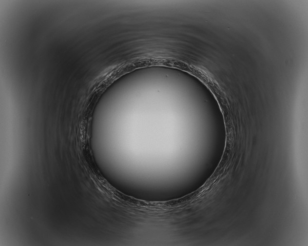 X0000086771110200704130830