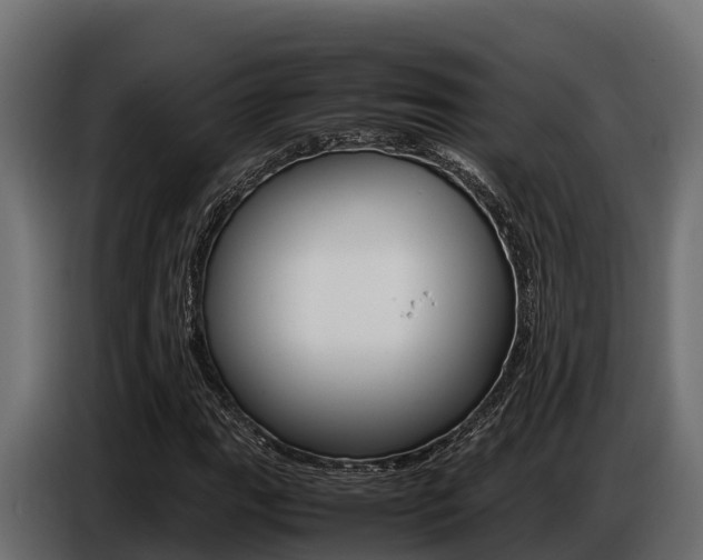 X0000086771111200704130830