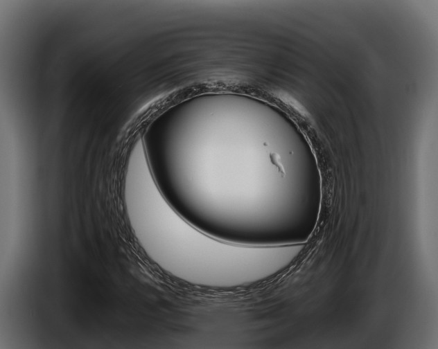 X0000086771112200704130830