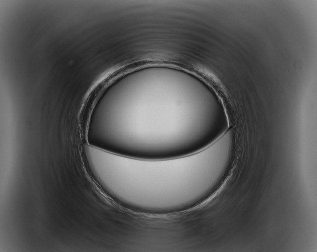 X0000086771114200704130830