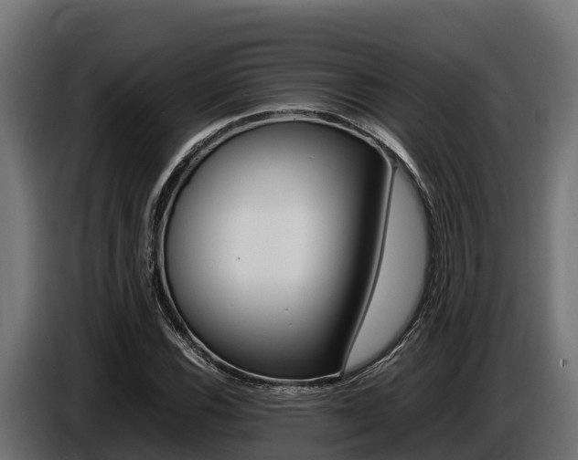 X0000086771116200704130830