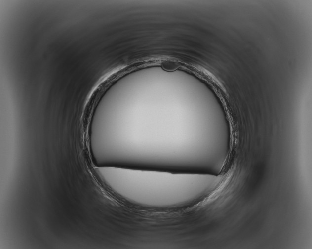 X0000086771117200704130830