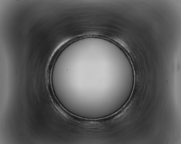 X0000086771119200704130830