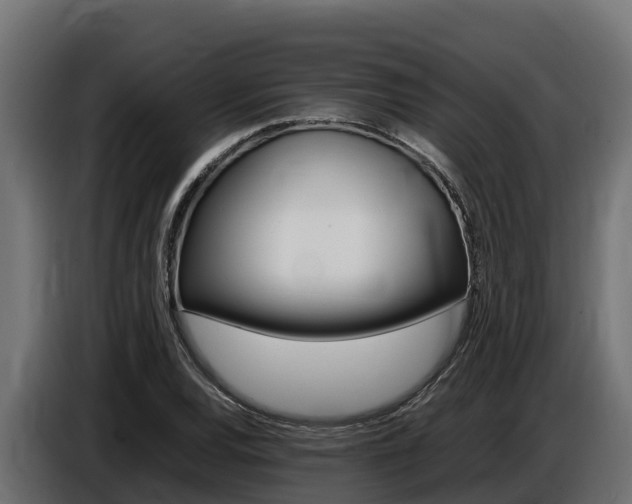 X0000086771120200704130830