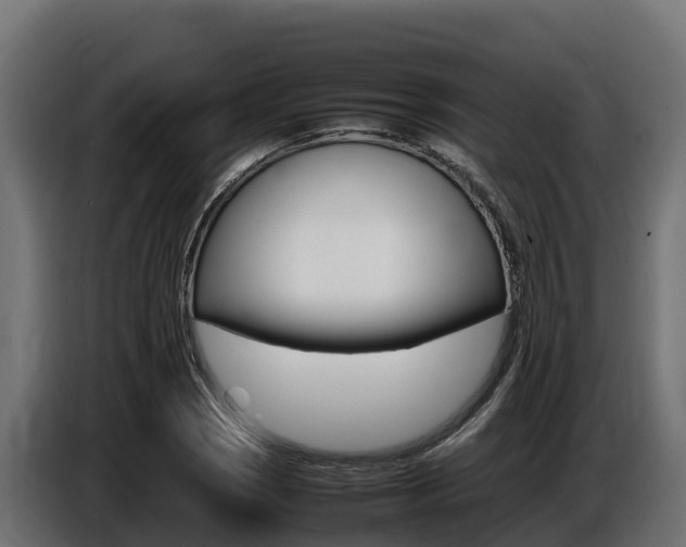 X0000086771121200704130830
