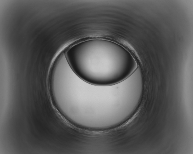 X0000086771122200704130830
