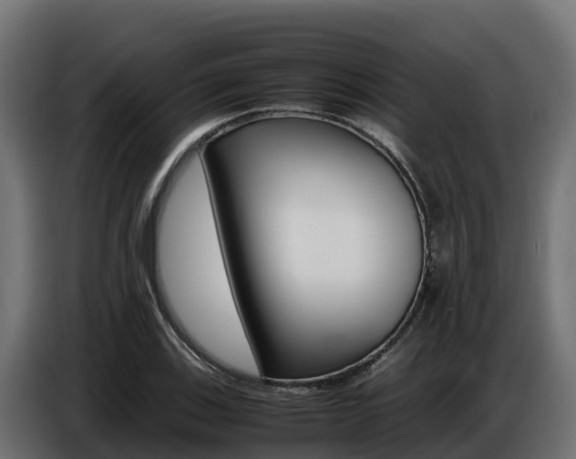 X0000086771123200704130830