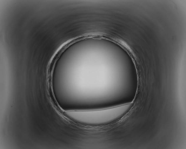 X0000086771124200704130830