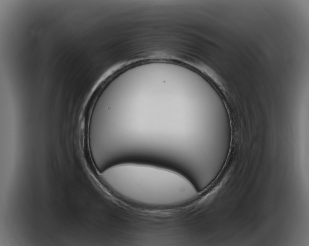 X0000086771126200704130830