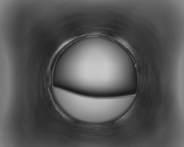 X0000086771127200704130830