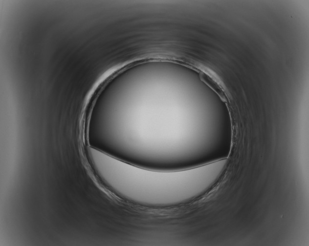 X0000086771128200704130830