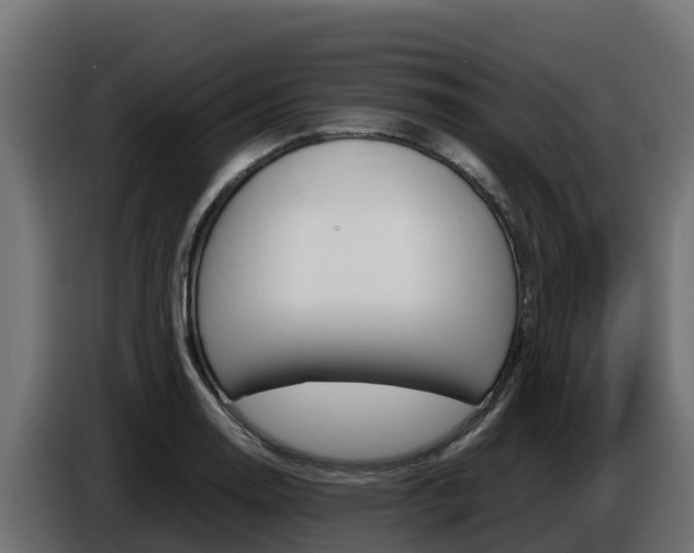 X0000086771130200704130830