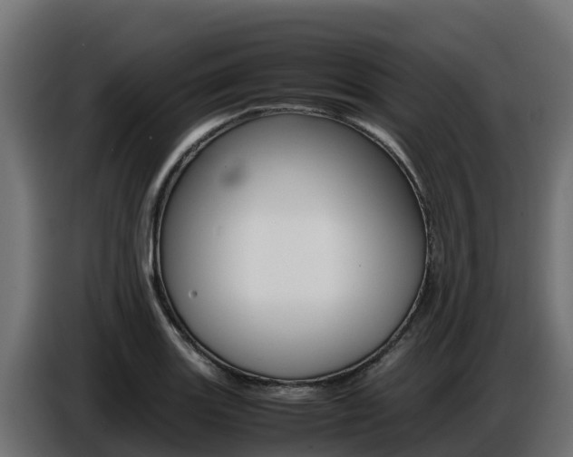 X0000086771131200704130830
