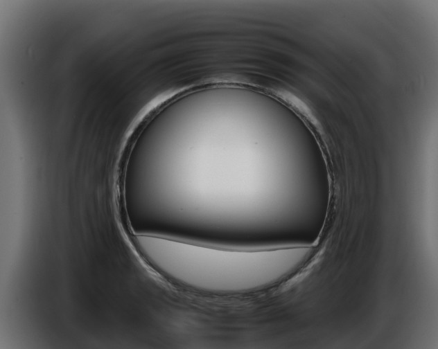 X0000086771133200704130830