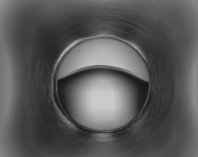 X0000086771134200704130830