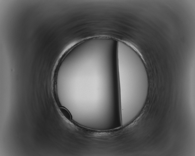 X0000086771135200704130830