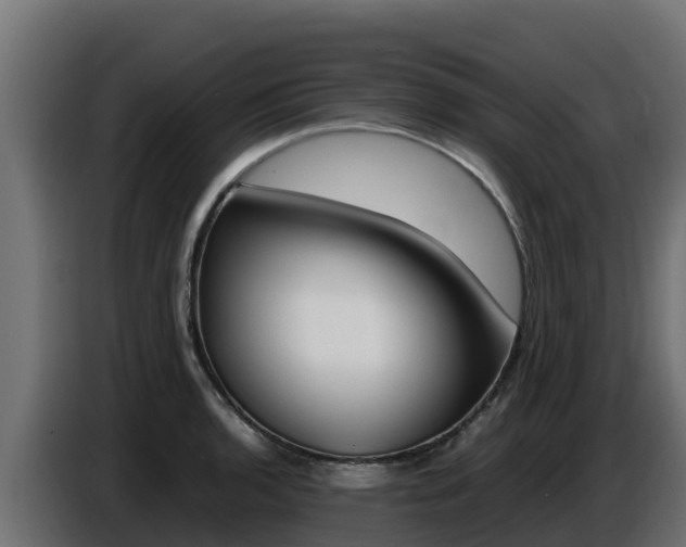 X0000086771136200704130830