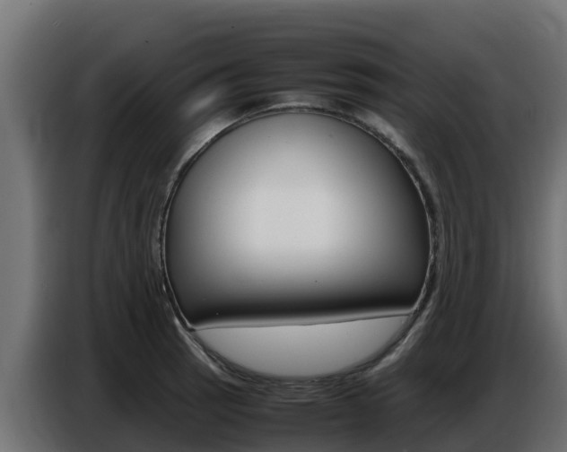 X0000086771137200704130830