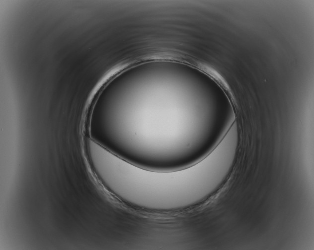 X0000086771138200704130830
