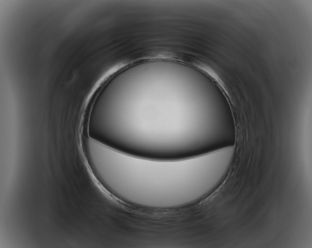 X0000086771139200704130830