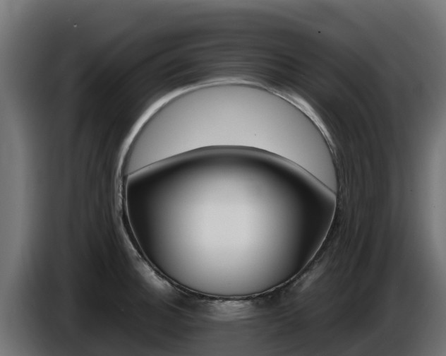 X0000086771140200704130830