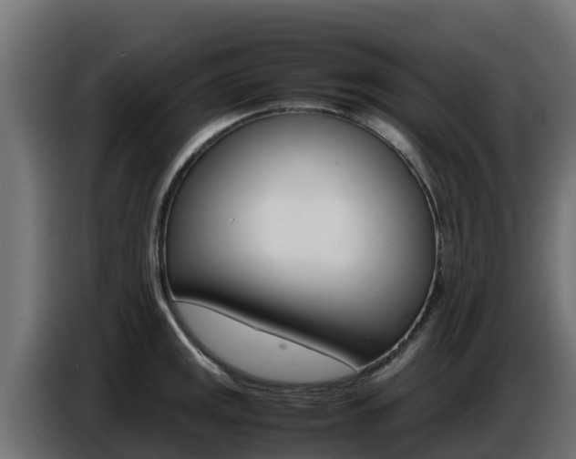 X0000086771141200704130831