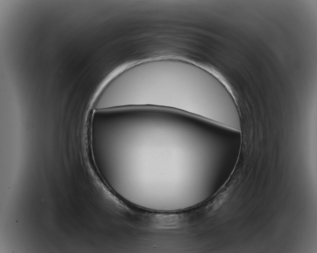 X0000086771142200704130831