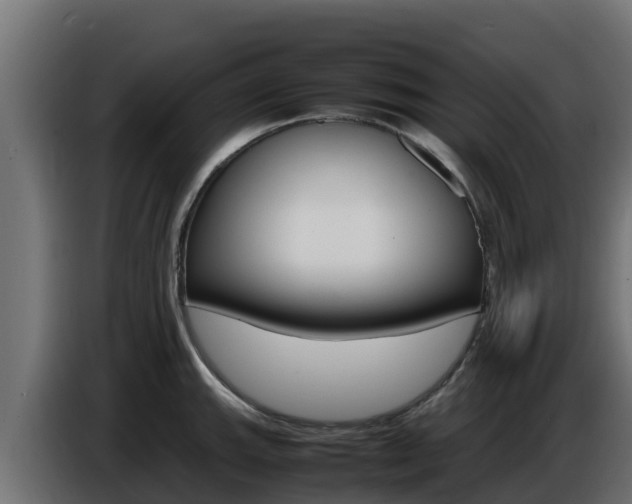 X0000086771143200704130831