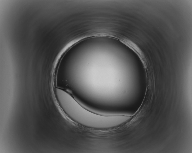 X0000086771144200704130831