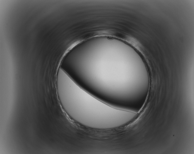 X0000086771145200704130831