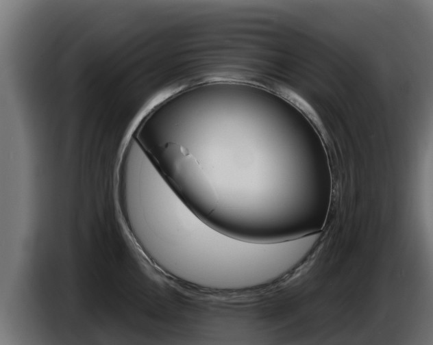 X0000086771146200704130831