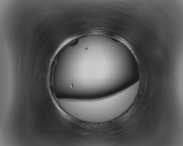 X0000086771147200704130831