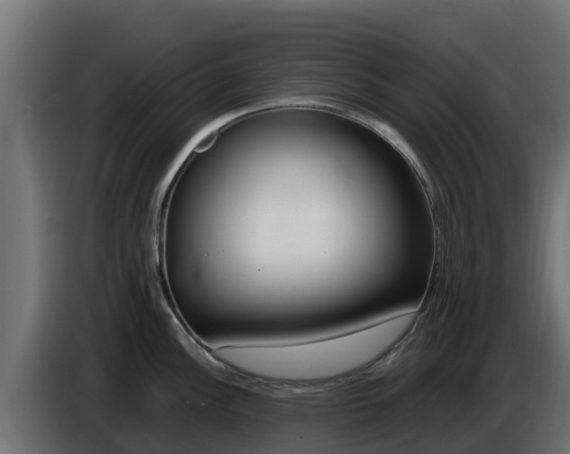 X0000086771148200704130831