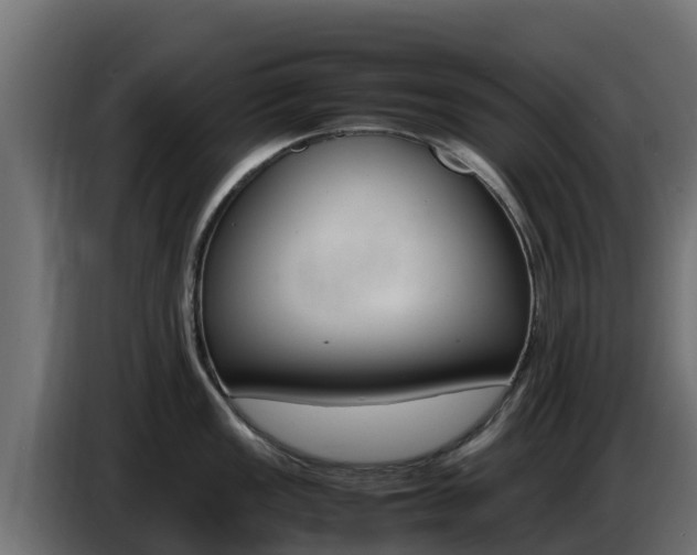 X0000086771149200704130831