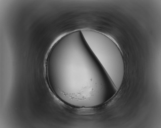 X0000086771151200704130831