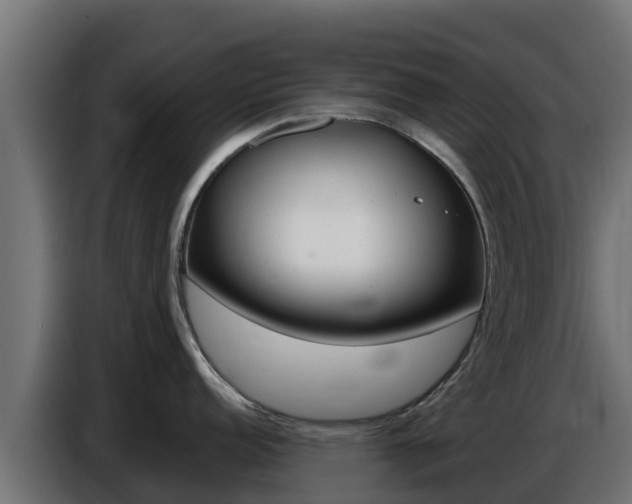 X0000086771152200704130831
