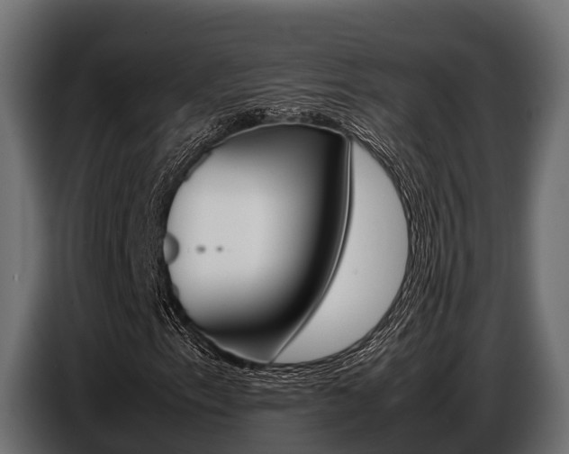 X0000086771153200704130830