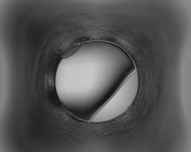 X0000086771155200704130830