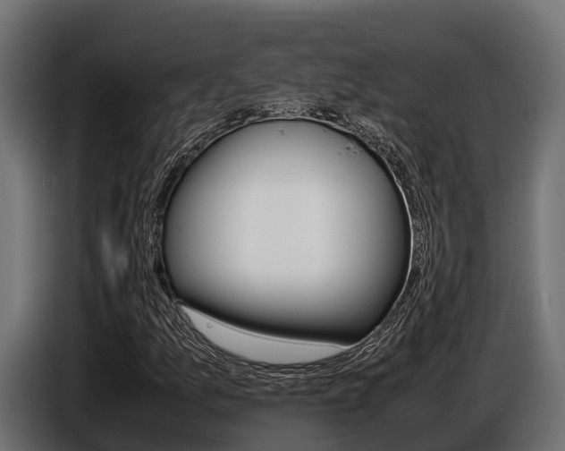 X0000086771157200704130830