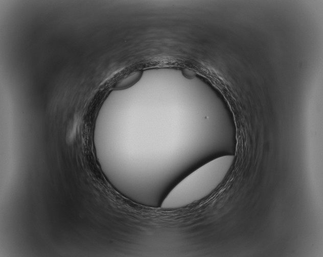 X0000086771158200704130830