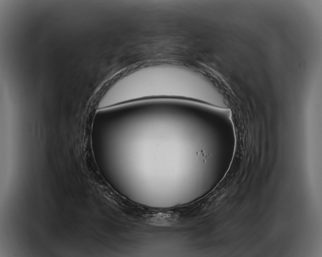 X0000086771160200704130830