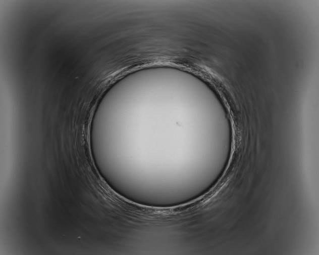 X0000086771161200704130830