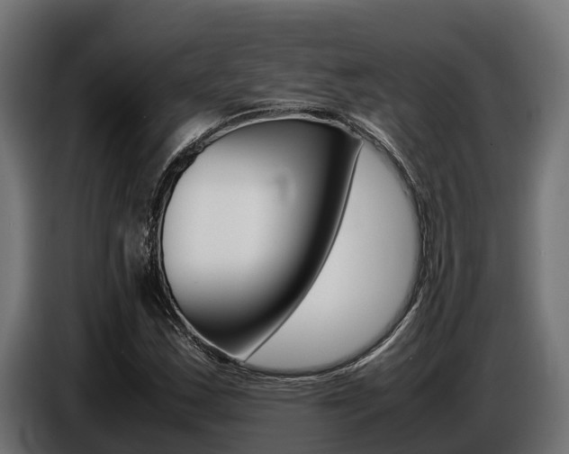 X0000086771163200704130830