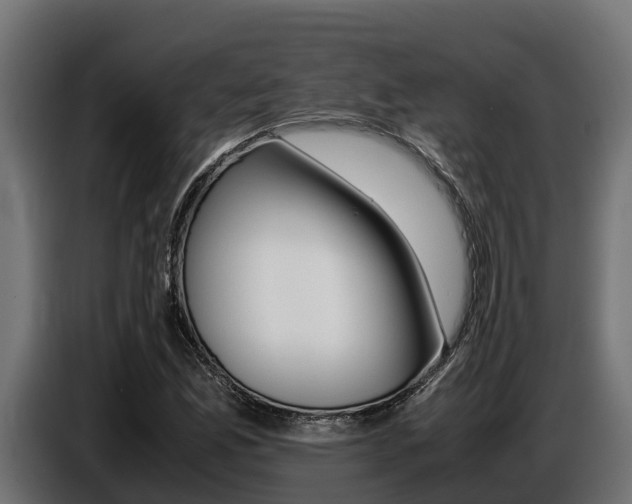X0000086771165200704130830