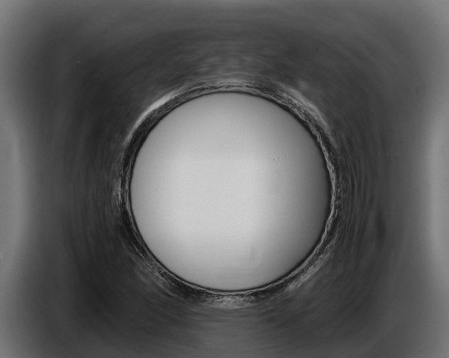X0000086771166200704130830
