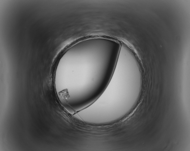 X0000086771167200704130830