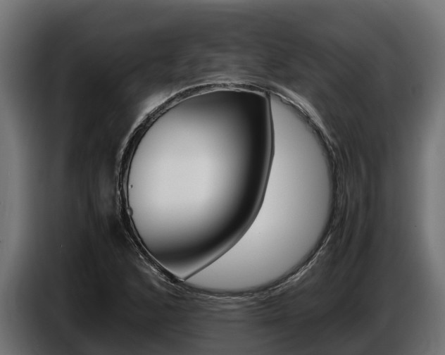 X0000086771168200704130830