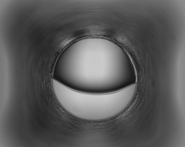 X0000086771169200704130830