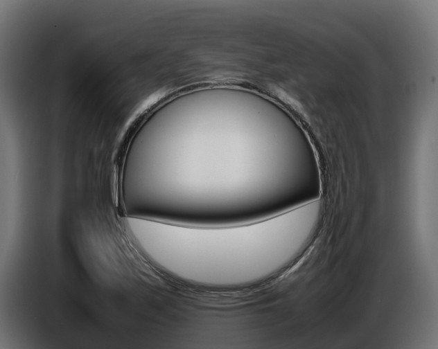 X0000086771171200704130830